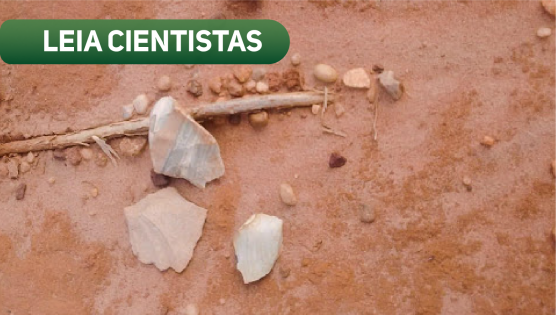 Raspadores encontrados na Serra da Mesa (Foto: Arquivo dos pesquisadores)
