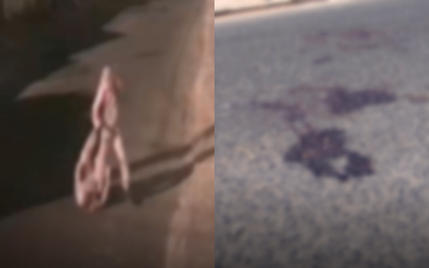 Imagem de câmera mostrando momentos da agressão.