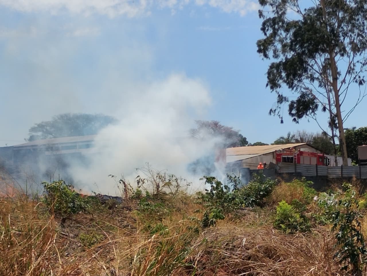 Imagem da área atingida pelo incêndio.