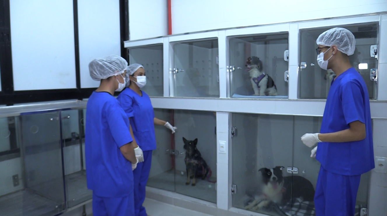 Imagem de alunos na clínica veterinária da Unitri