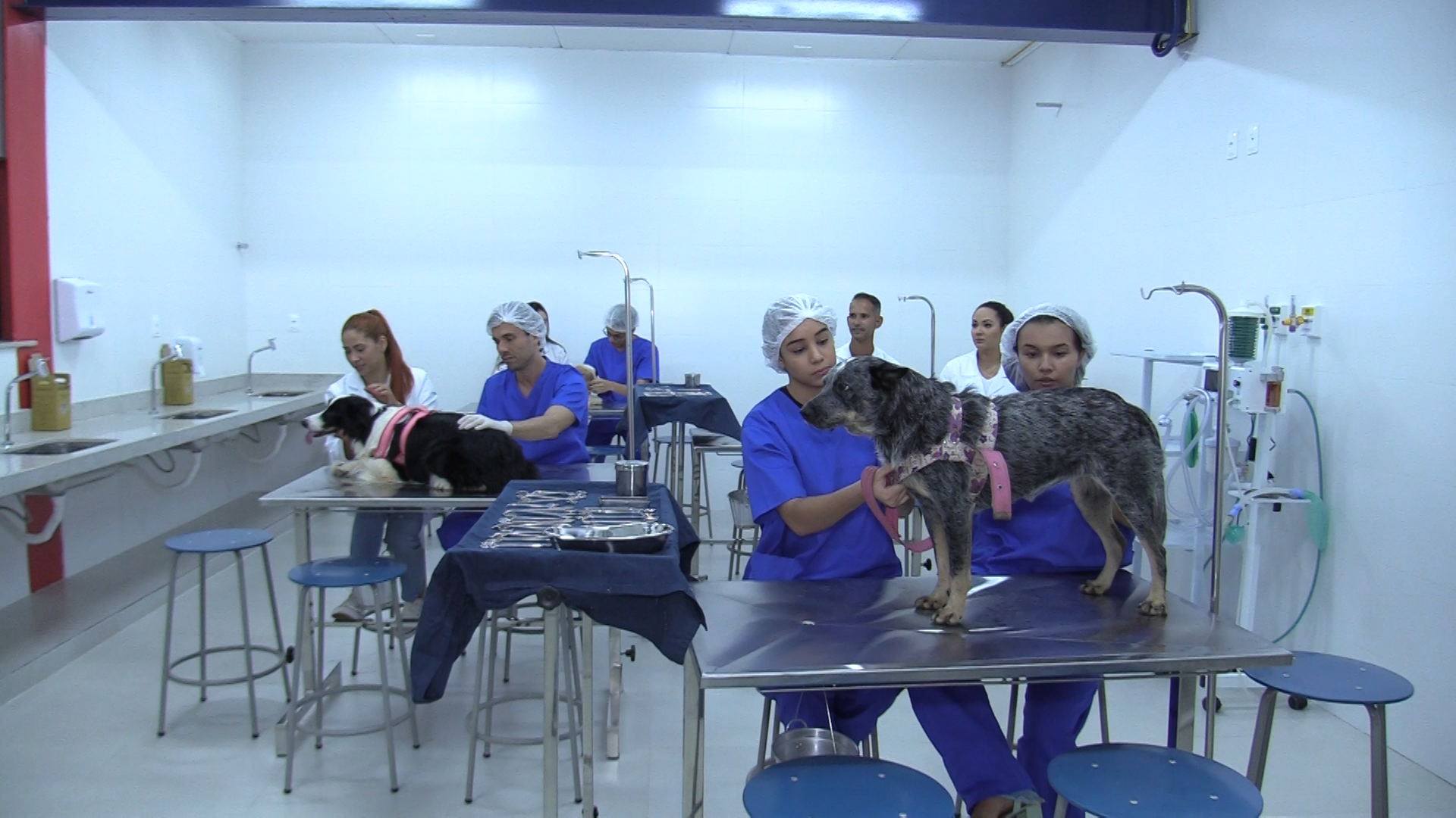 Clínica de Medicina Veterinária da Unitri.
