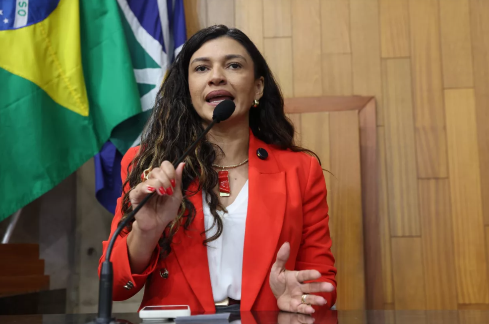 Imagem da vereadora Lia Valechi.