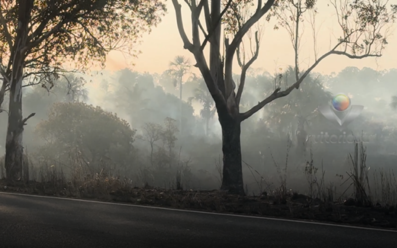 Imagem de parte da área afetada pelo incêndio.
