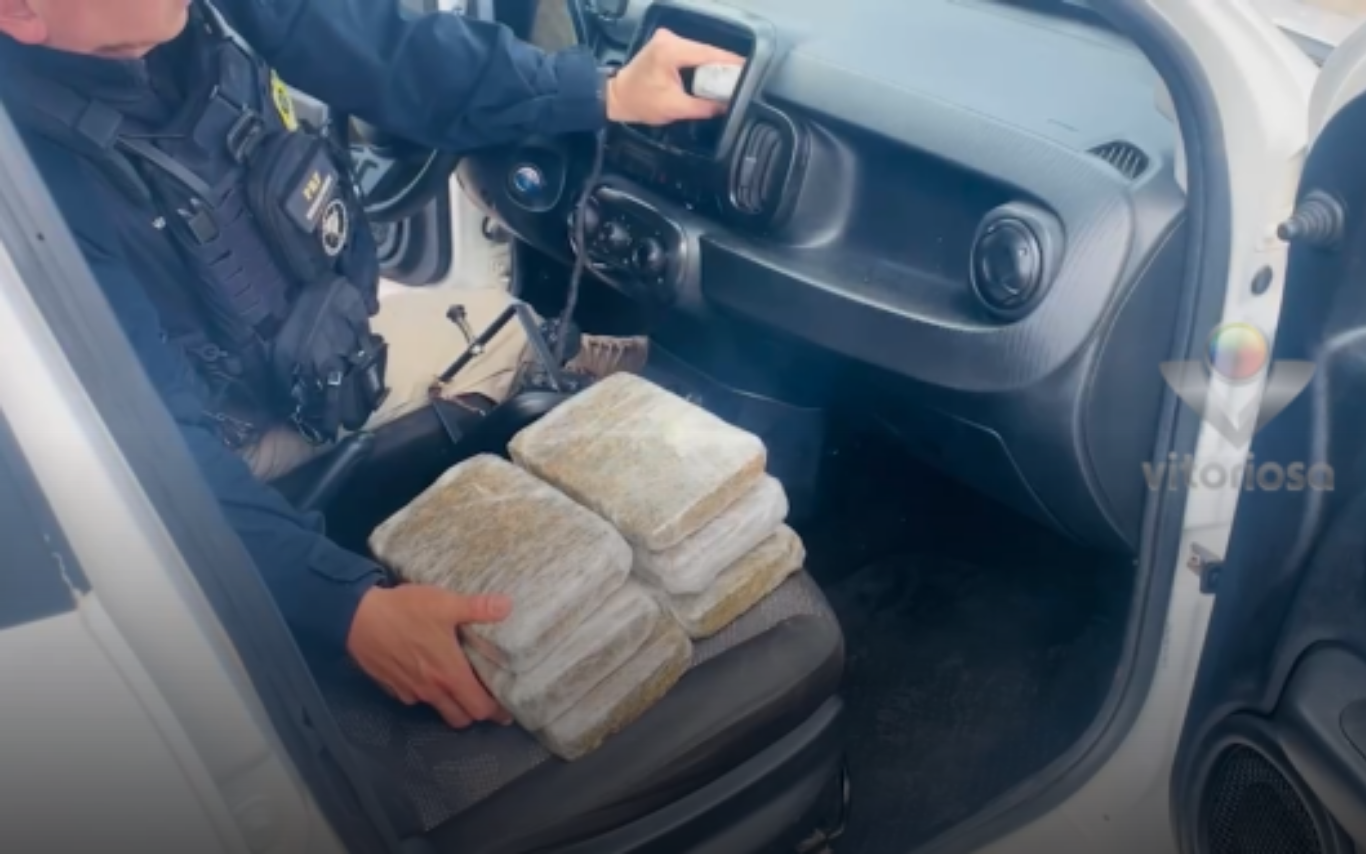 Reprodução das drogas apreendidas pela PRF.