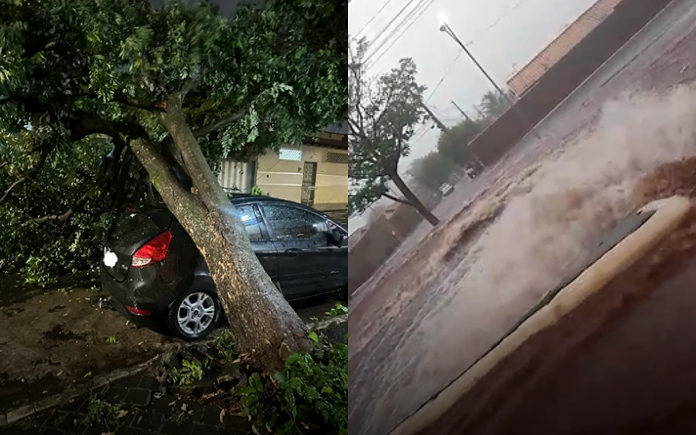 Imagens dos danos causados pelas chuvas em Uberlândia.