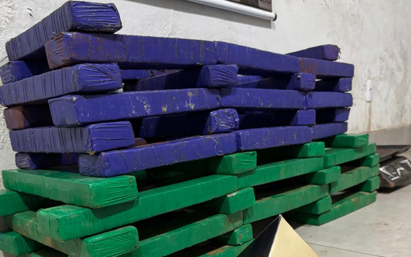 Drogas apreendidas pela PM.