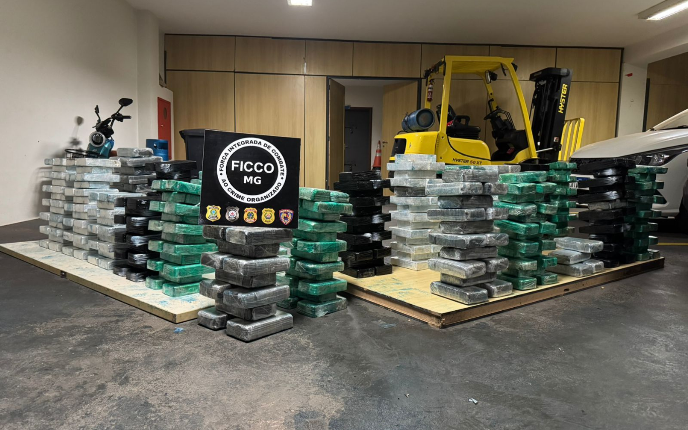 Drogas apreendidas durante operação conjunta.