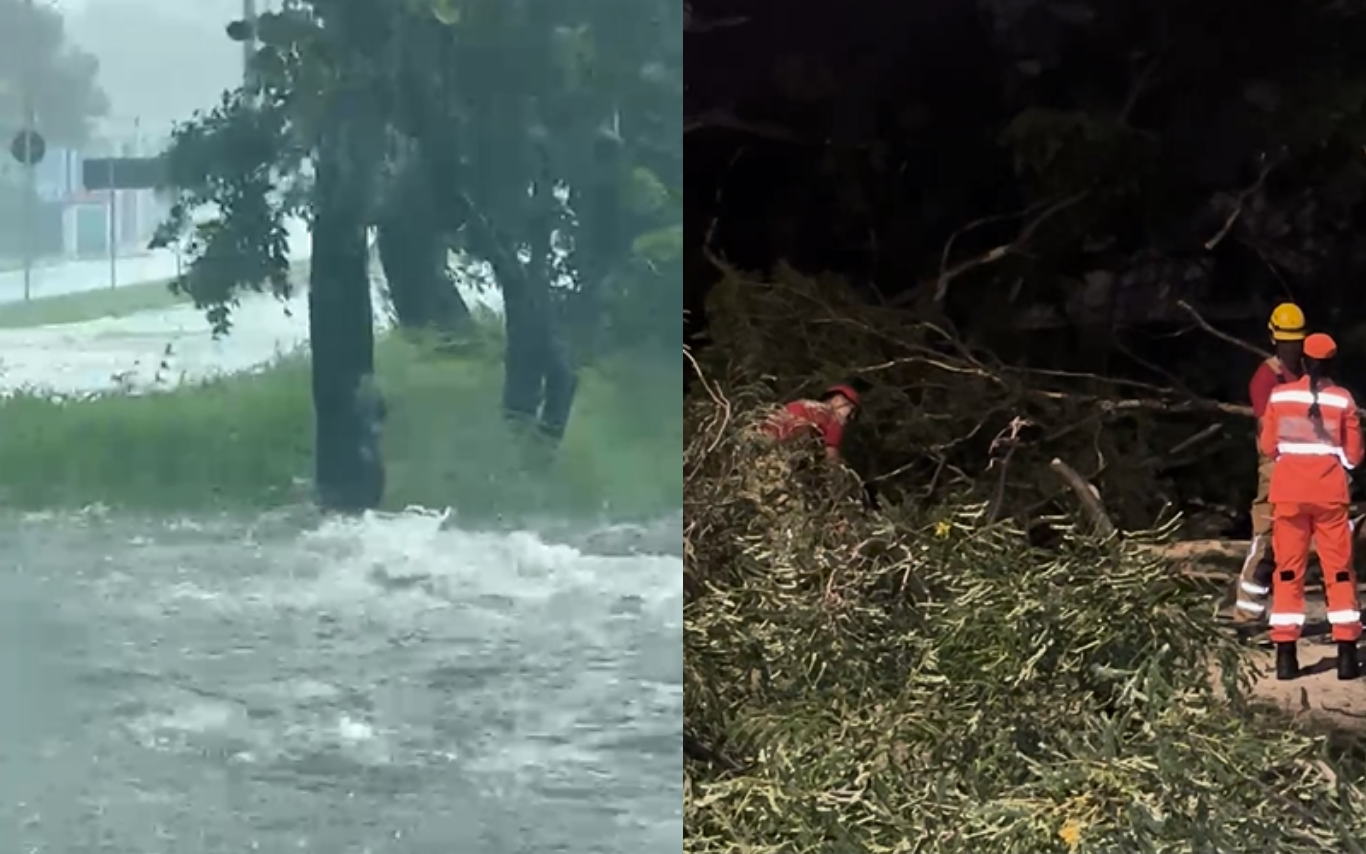 Registro da chuva e os estragos causados em Uberlândia