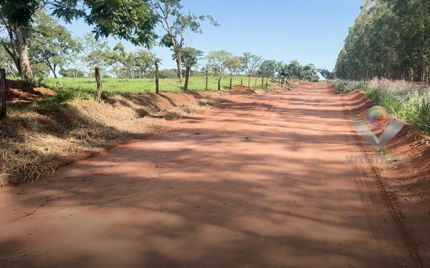 Local onde o corpo em decomposição foi encontrado.