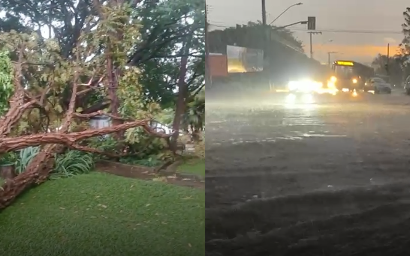 Registros da chuva em Uberlândia