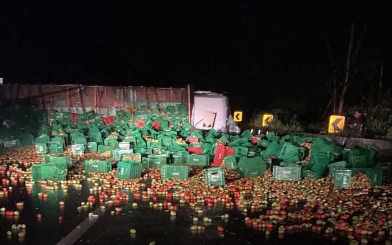 Caminhão carregado de tomates tombado na BR-050