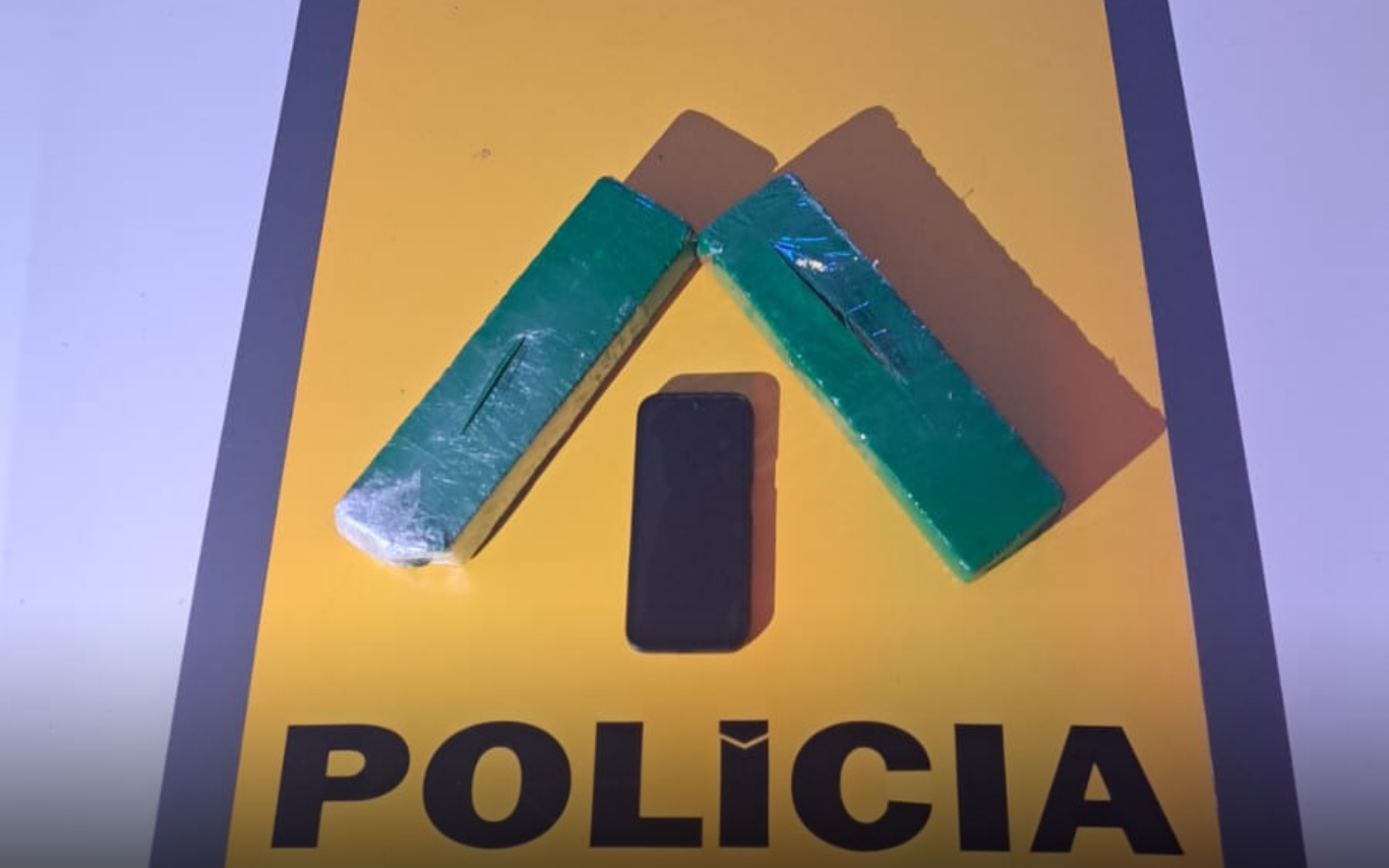 Drogas apreendidas na LMG-503