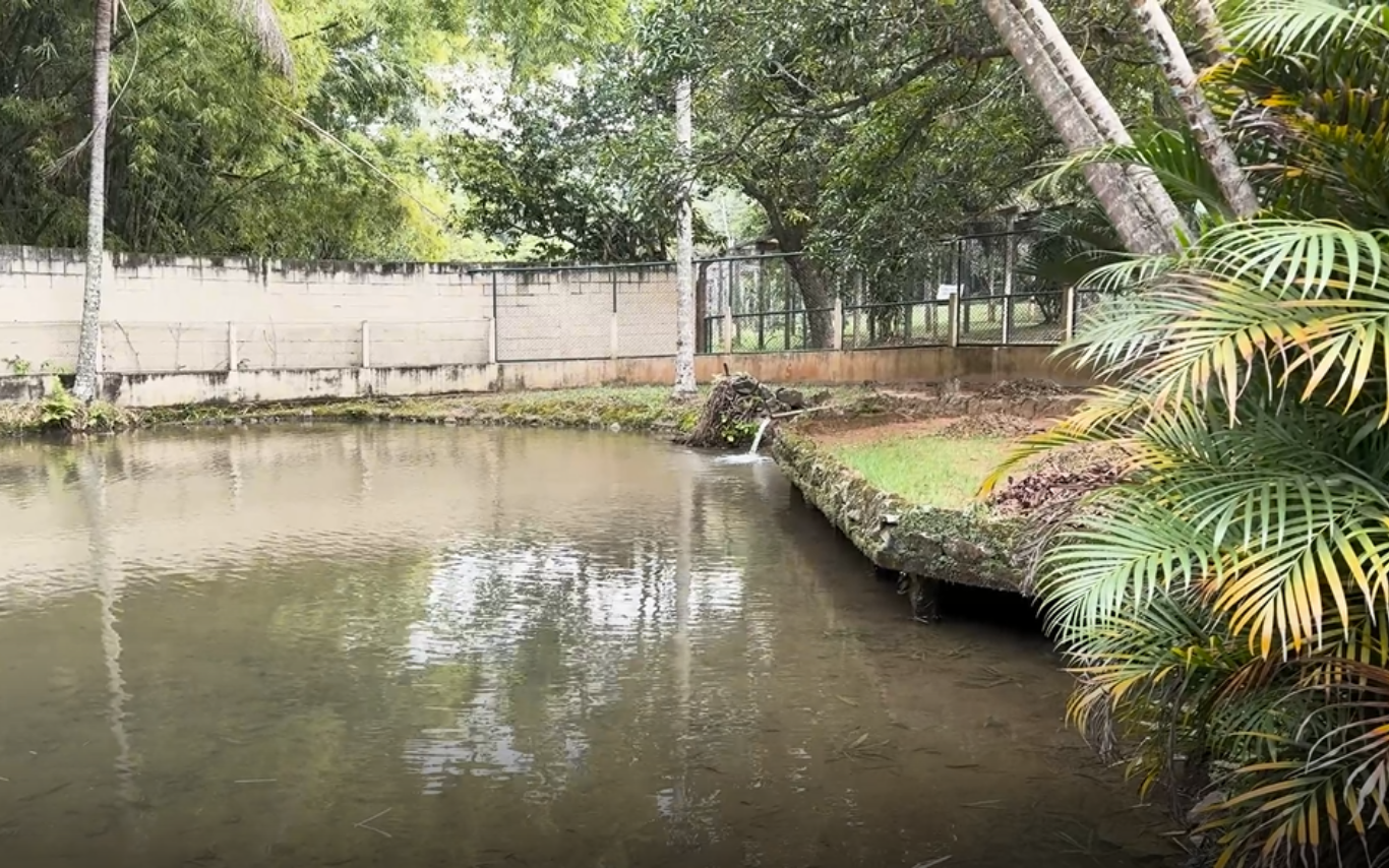 Zoológico Municipal