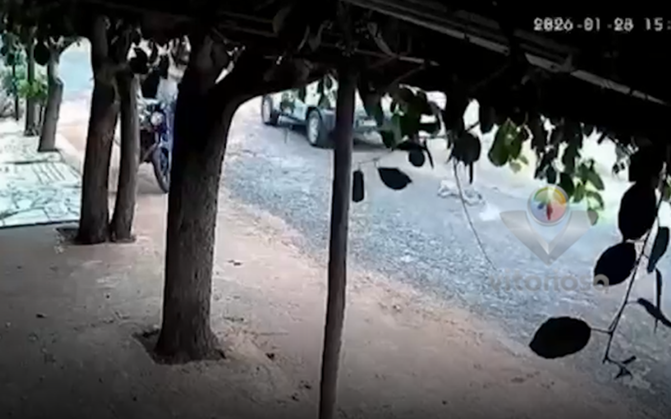 Corpo de cachorrro sendo arrastado em via pública