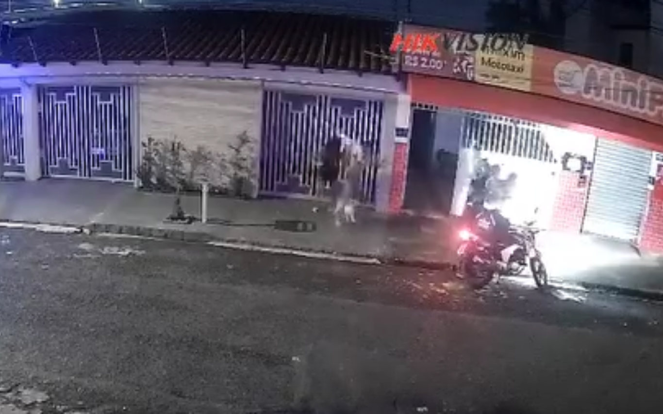 Câmeras flagraram violência animal em Uberlândia