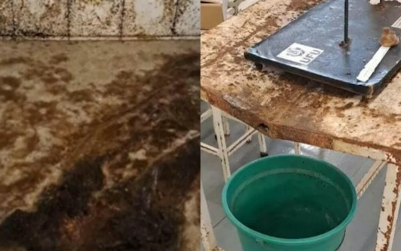 Denúncias de insalubridade no Laboratório de Anatomia Animal da UFU