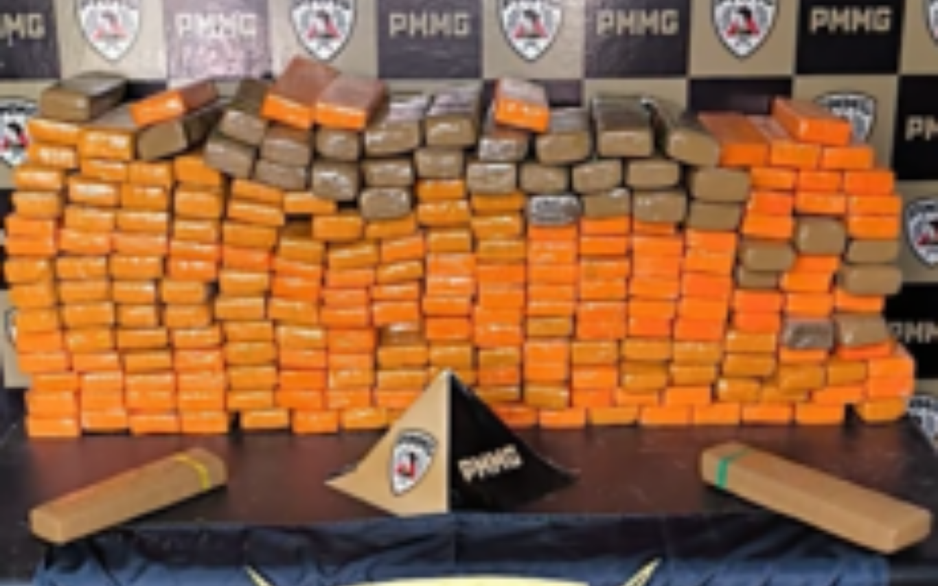 Barras de maconha apreendidas em Uberlândia