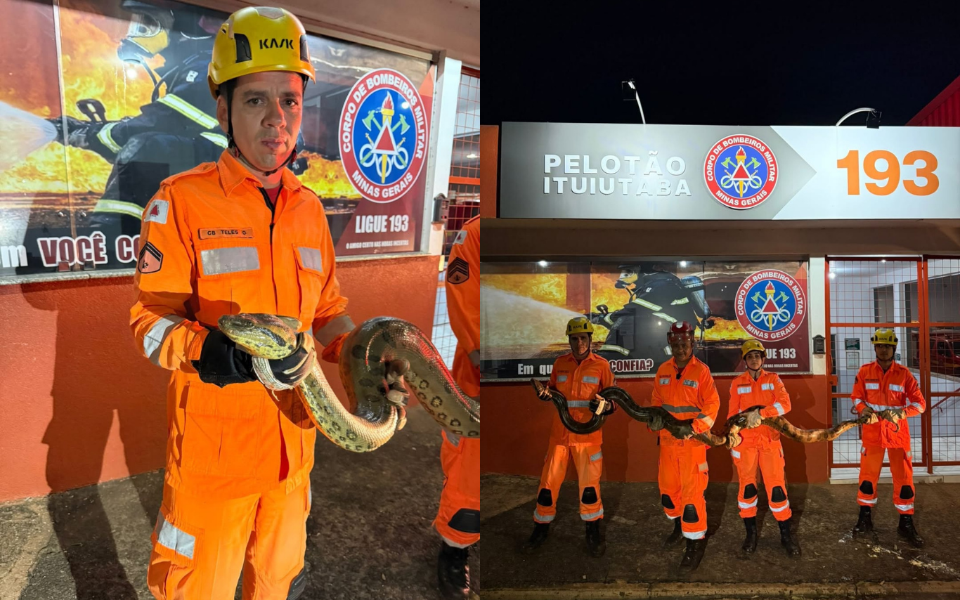 Sucuri capturada em Ituiutaba