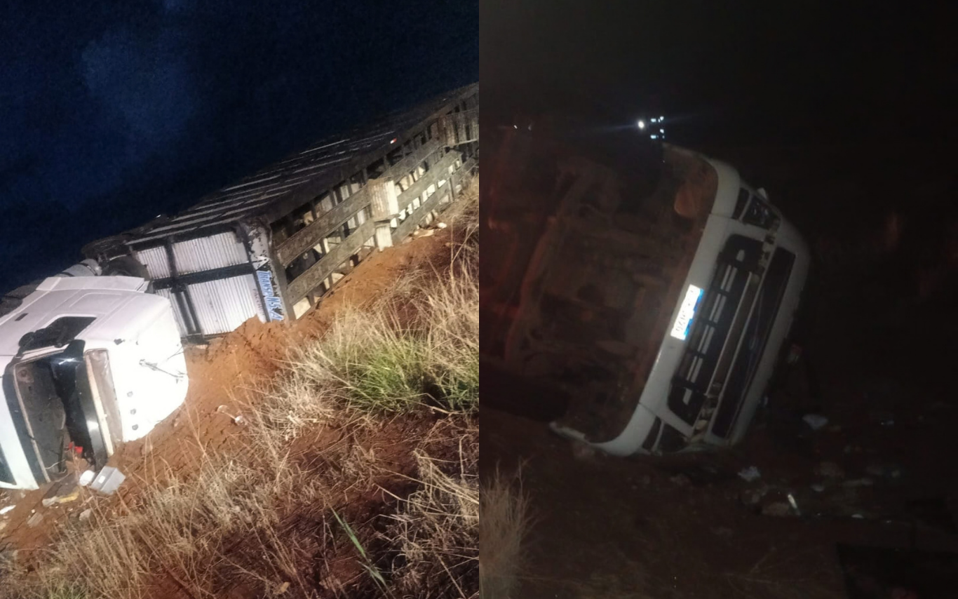 Caminhão com carga viva tomba na LMG-799