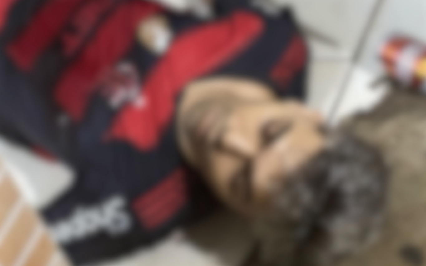 Jovem morto a tiros em bar de Araguari