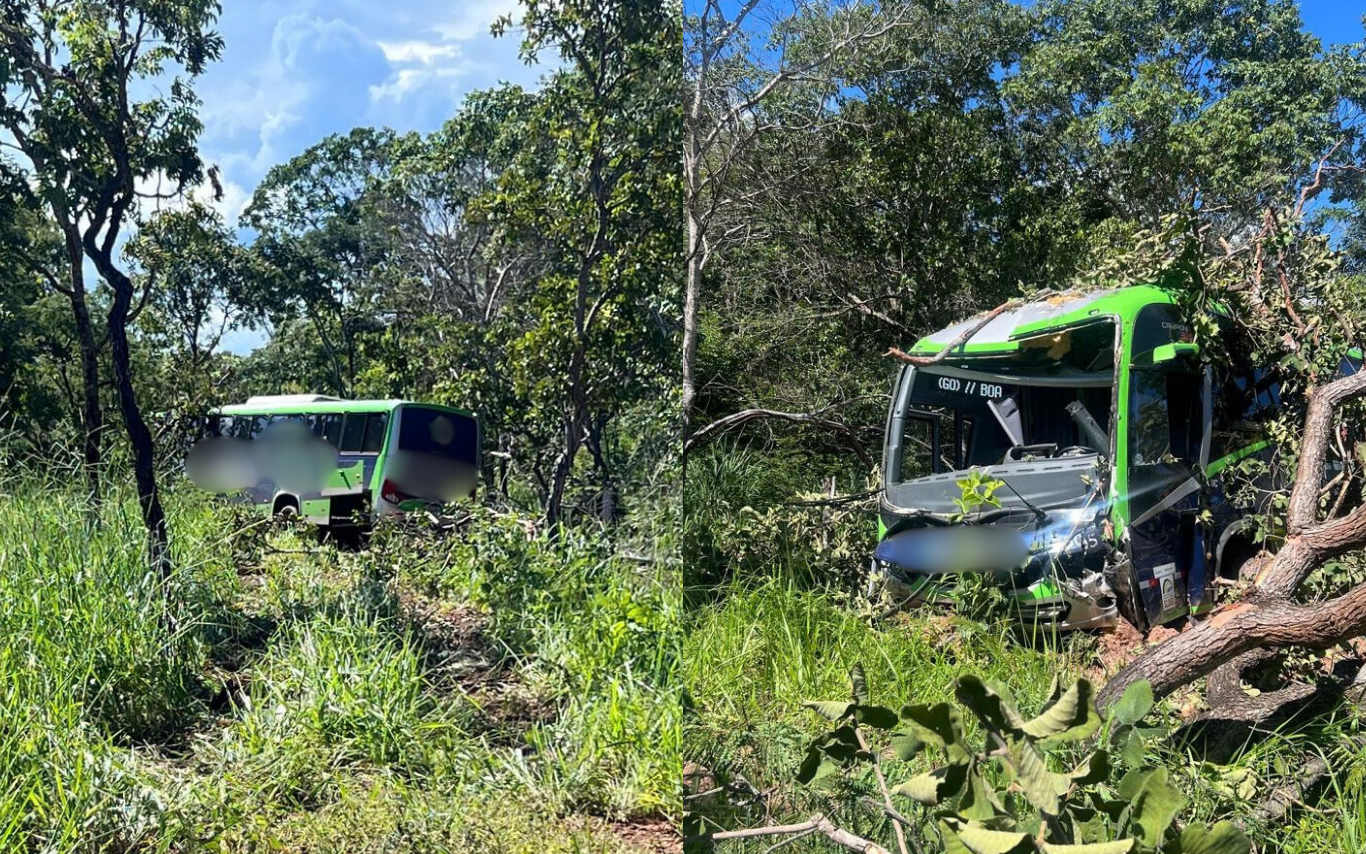 Ônibus saiu da rodovia e bateu em árvores em Araguari