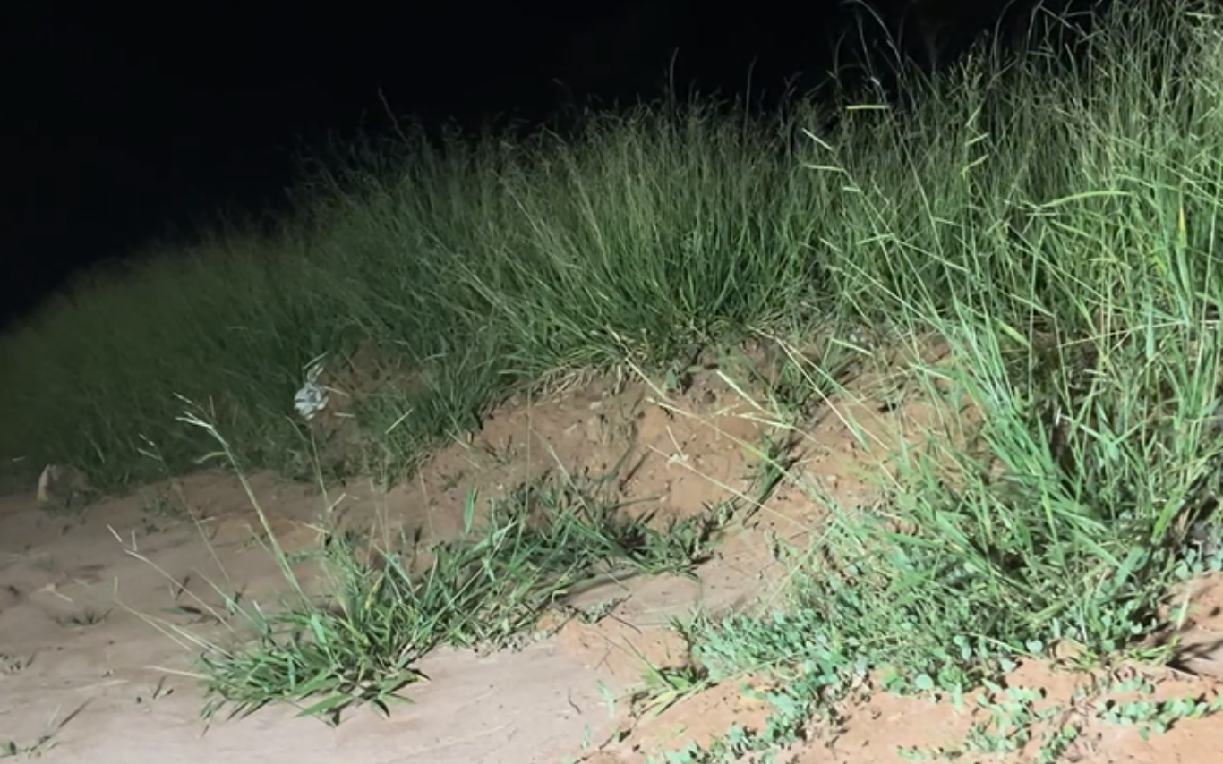 Corpo encontrado nas margens do Rio Uberabinha