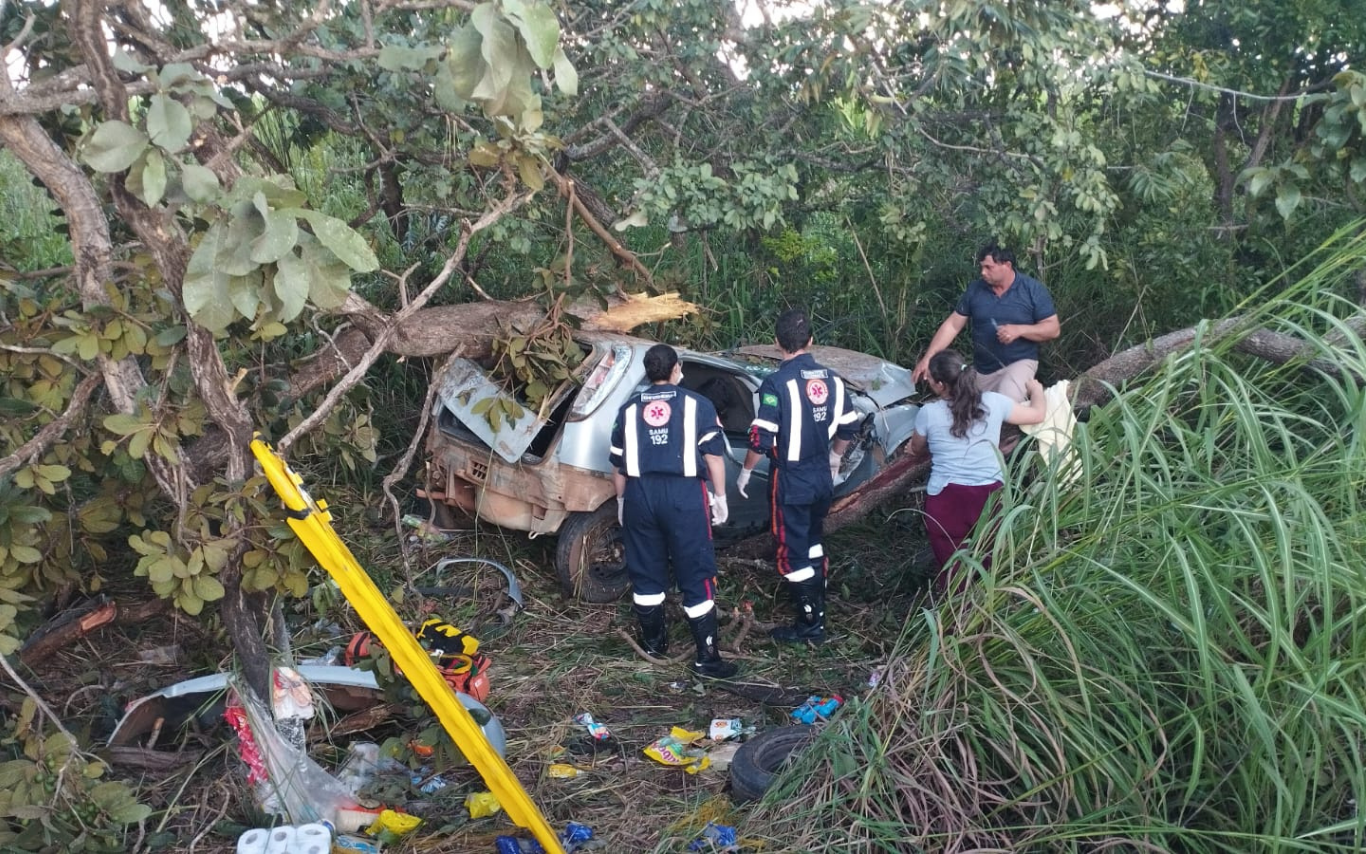 Colisão de carro contra árvore deixa um morto na BR-365