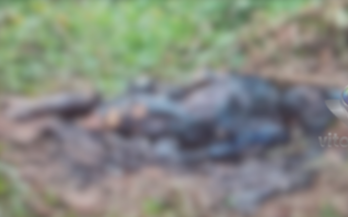 Idoso encontrado carbonizado em Conceição das Alagoas