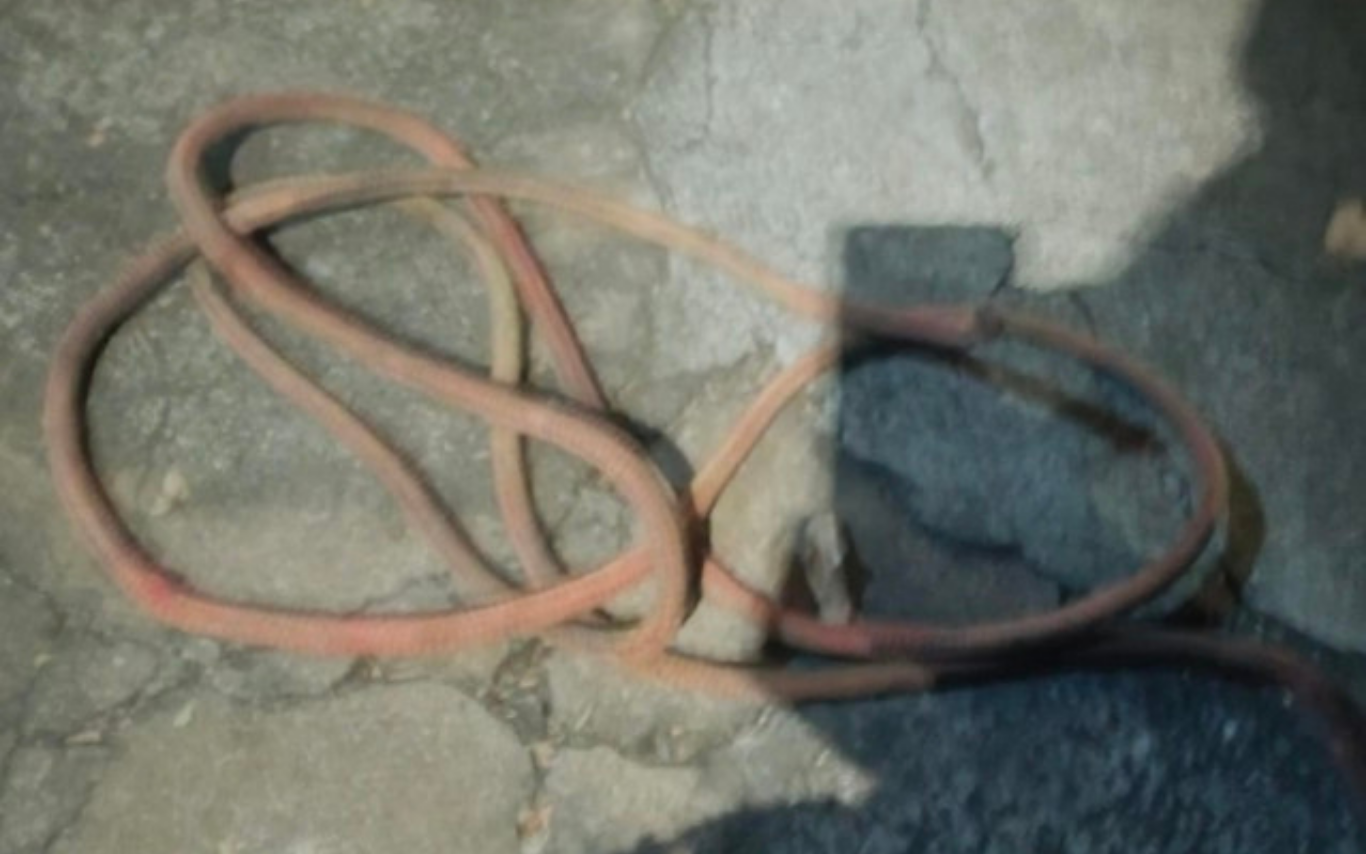 Homem é preso após agredir ex-companheira e praticar zoofilia em Patos de Minas