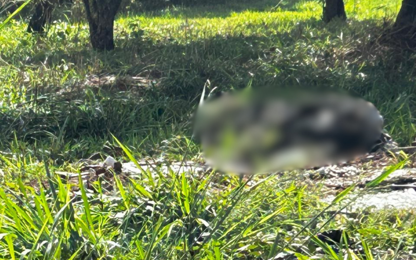Corpo concretado e carbonizado de idoso desaparecido em Uberlândia é encontrado