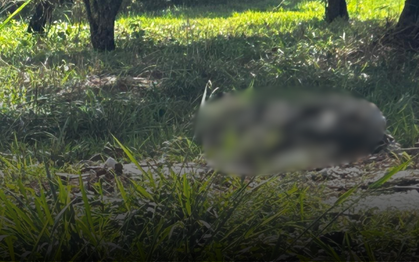 Corpo concretado e carbonizado de idoso desaparecido em Uberlândia é encontrado