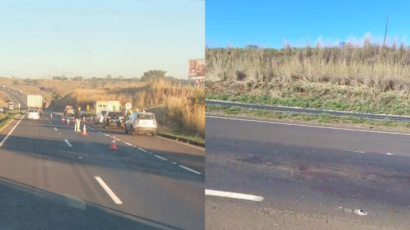 Pedestre morre atropelado por carreta na BR-050, em Uberlândia