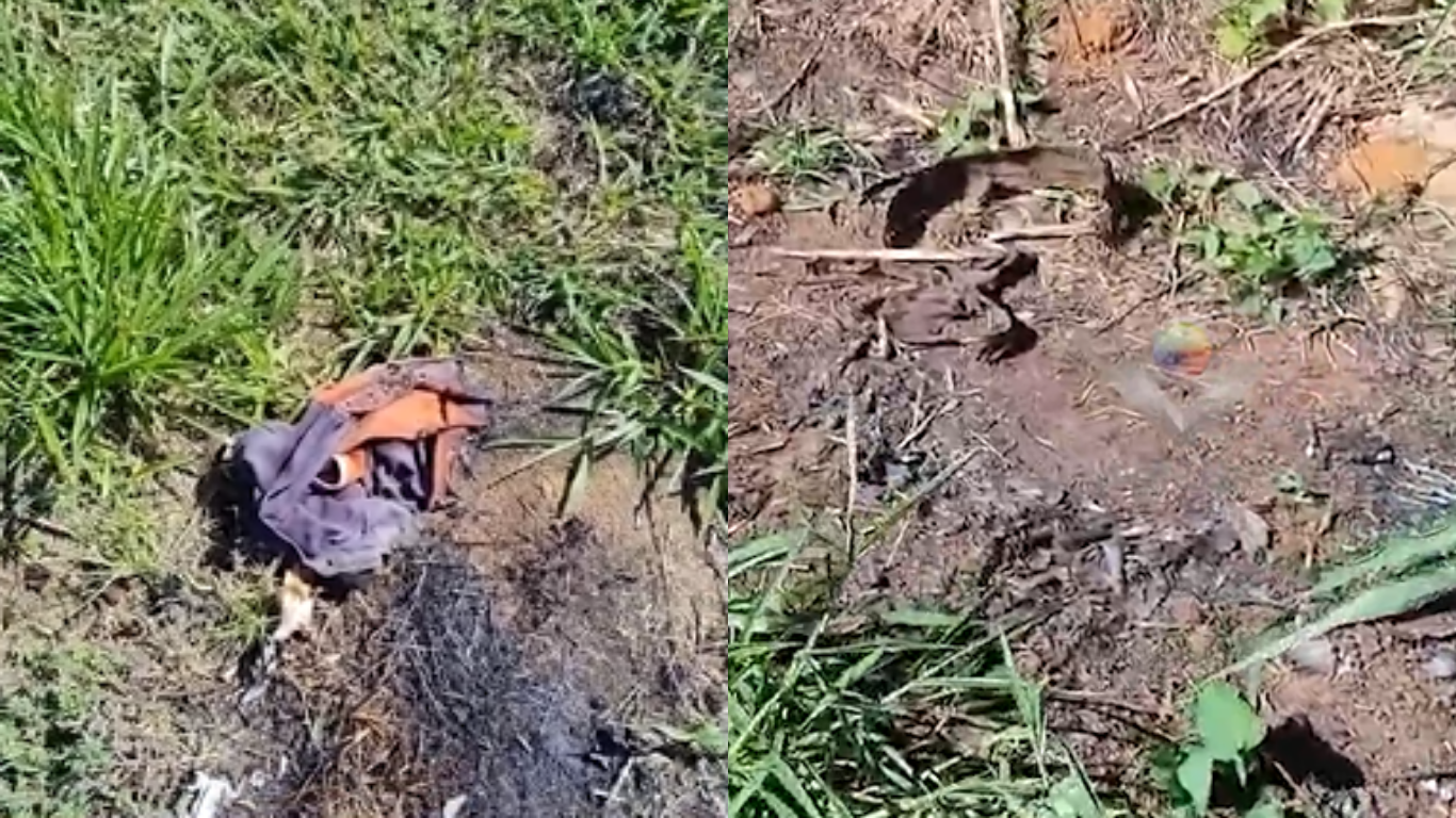 Ossada humana carbonizada encontrada em terreno baldio de Uberlândia