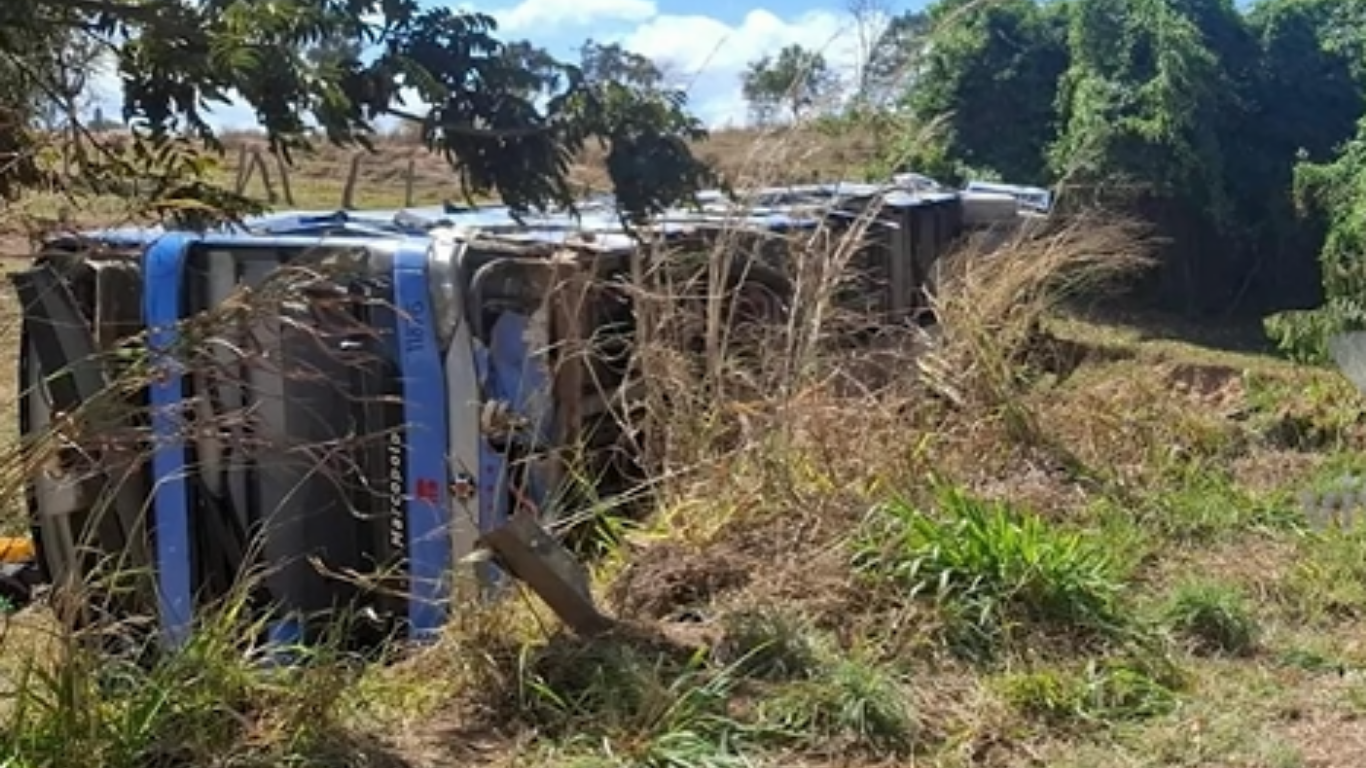 Acidente entre ônibus e carreta deixa 8 mortos