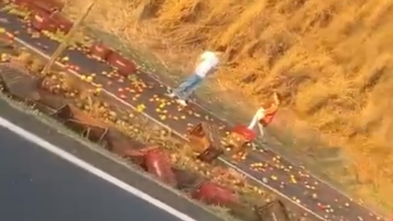 Caminhão carregado com tomates tomba na BR-050 e deixa dois feridos em Araguari