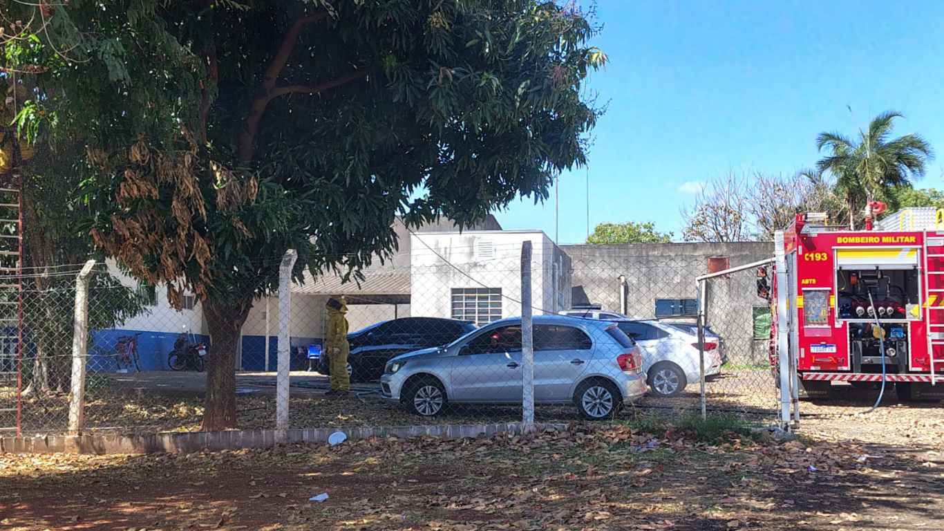 Ataque de abelhas deixa alerta na zona oeste; Corpo de Bombeiros e Samu isolam área