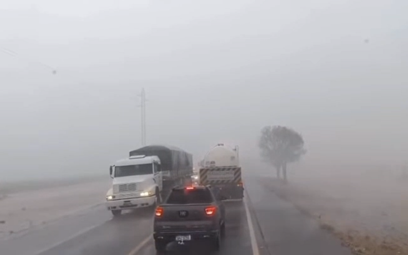 Temporal com ventos fortes provoca queda de árvore e alagamentos em Uberlândia e região