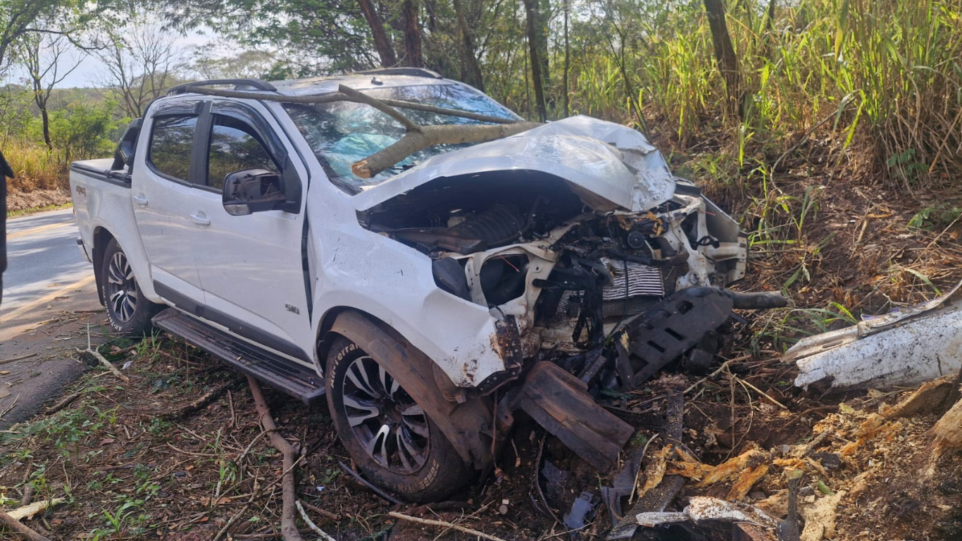 Caminhonete roubada é encontrada batida em árvore e com placa clonada na MGC-497, em Prata