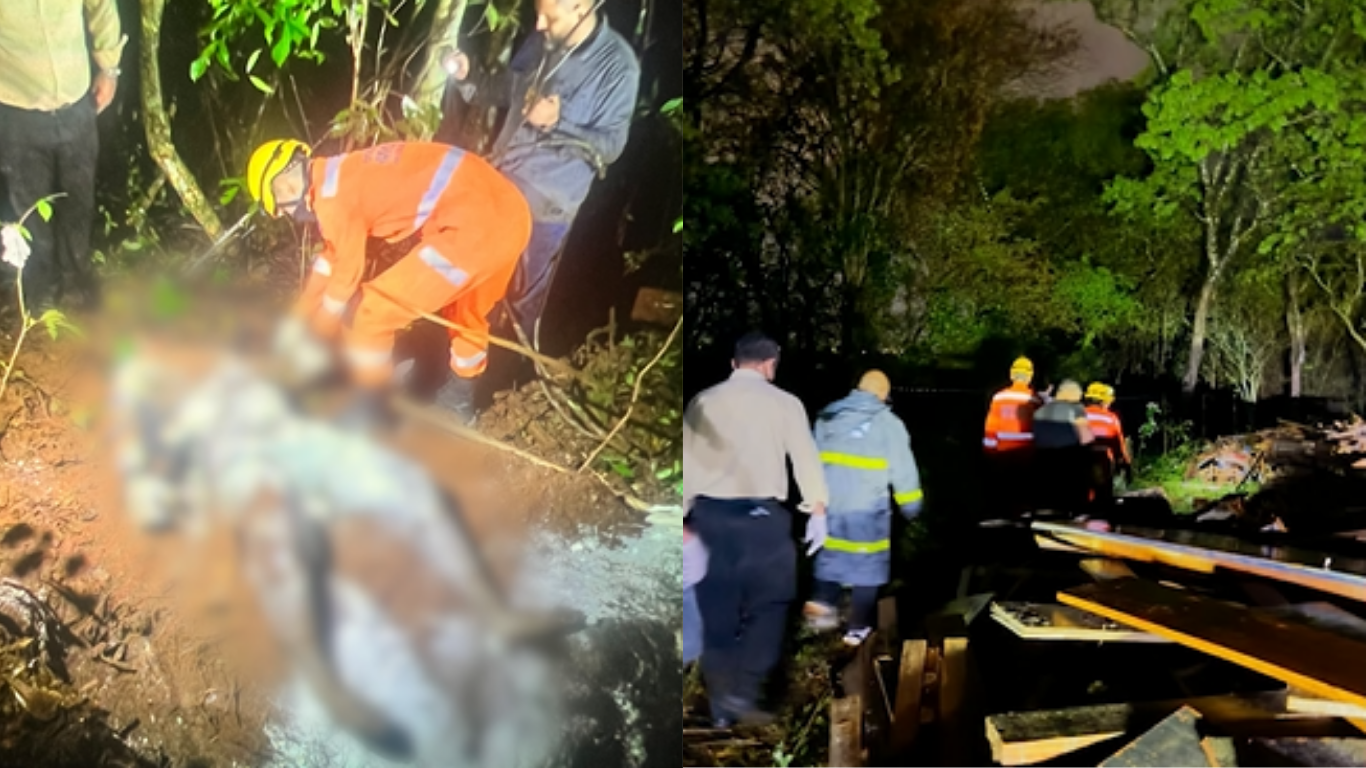 Homem investigado por violência sexual é encontrado morto em área de mata no bairro Shopping Park