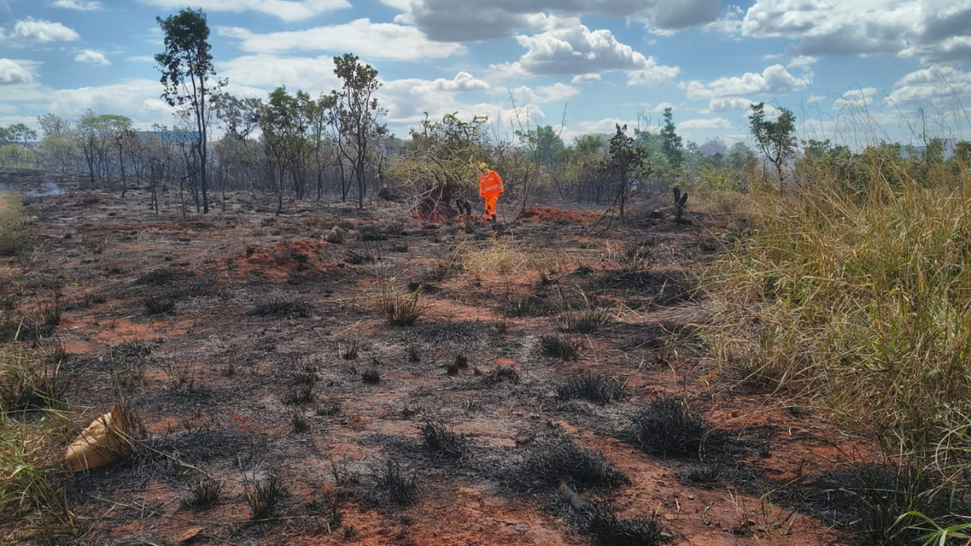 Incêndio de grandes proporções em área de cerrado atinge cerca de cinco hectares na Zona Leste de Uberlândia