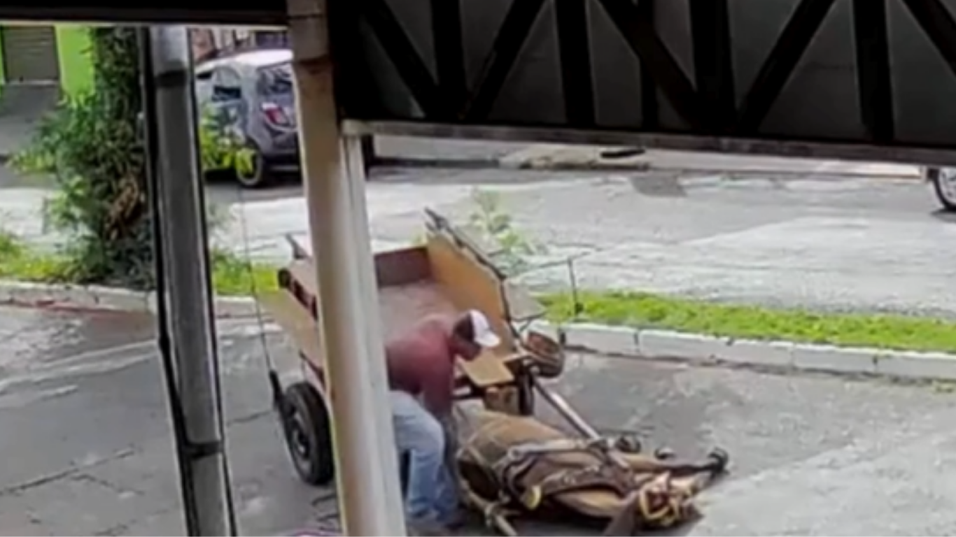 Cavalo cai ao passar por lombada puxando carroça e gera alerta no bairro Laranjeiras em Uberlândia