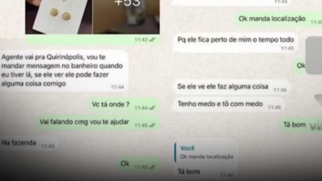 Estratégia criativa de escrivã da Polícia Civil salva mulher mantida em cárcere privado e agredida em Goiás