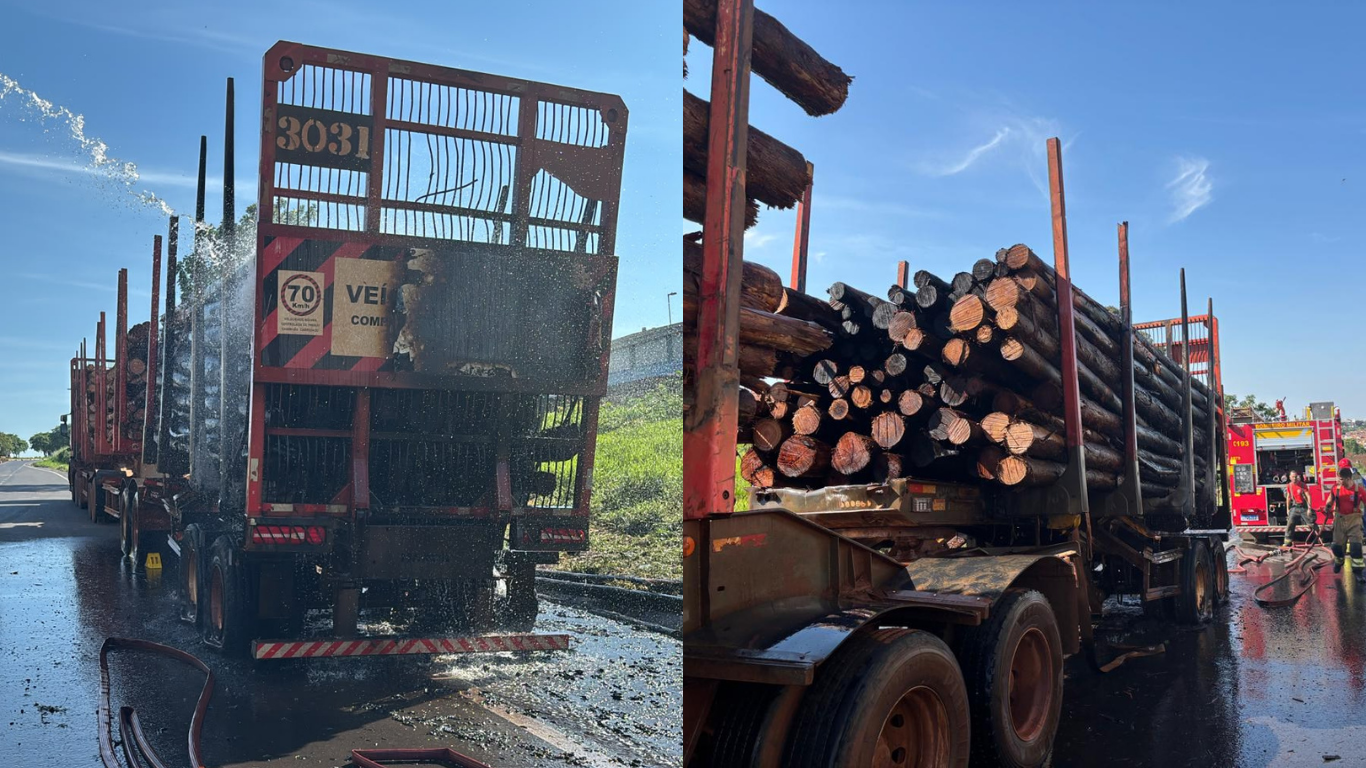 Caminhão carregado de madeira pega fogo e interdita trecho da LMG-749, em Uberlândia