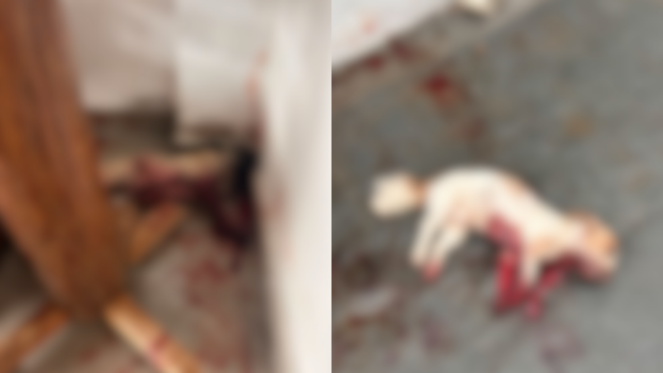 Jovem de 20 anos é preso após esfaquear os avós e matar três cães em Uberlândia