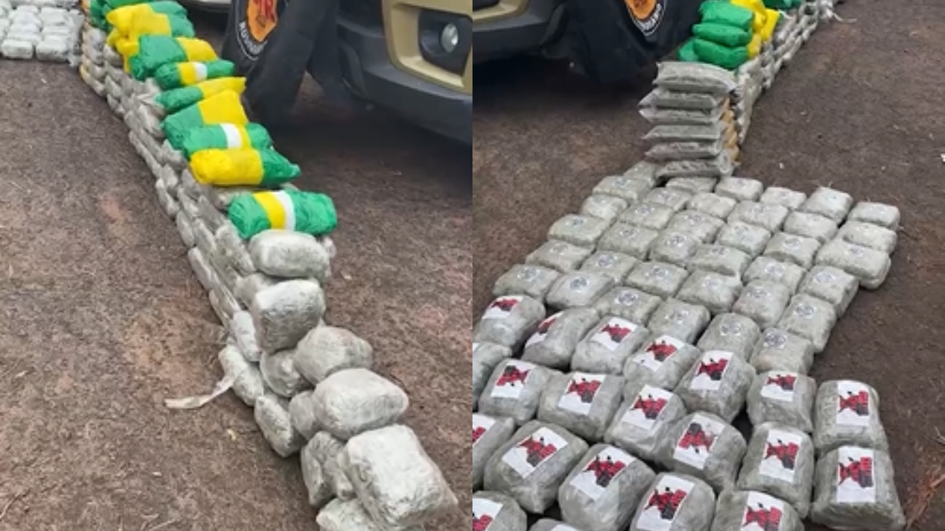 Polícia Rodoviária Estadual apreende 174 barras de skunk, prende quatro suspeitos e frustra tentativa de atropelamento na LMG-497, em Prata