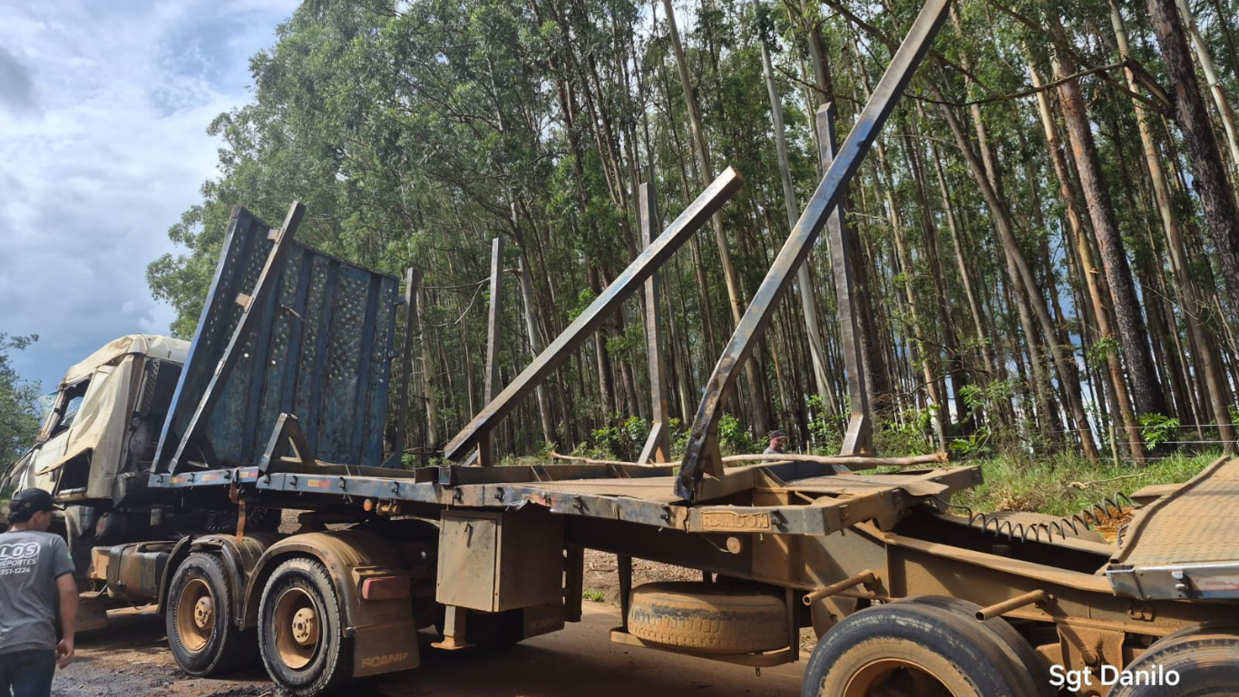 Rodotrem carregado com madeira tomba e interdita MGC-146 por mais de 4 horas em Tapira